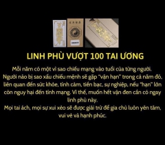 LINH PHÙ BUÔN MAY BÁN ĐẮC DÁN ĐIỆN THOẠI , CỬA NHÀ